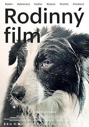 Family Film