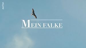 Mein Falke