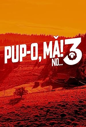 Pup-o MA! 3 NO... sau VARSTA BARBATULUI NEINFLORIT