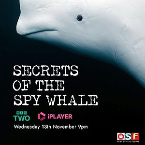 Secrets of the Spy Whale