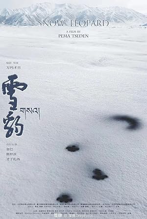 Snow Leopard